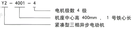 YR系列(H355-1000)高压YKK5003-12/280KW三相异步电机西安西玛电机型号说明